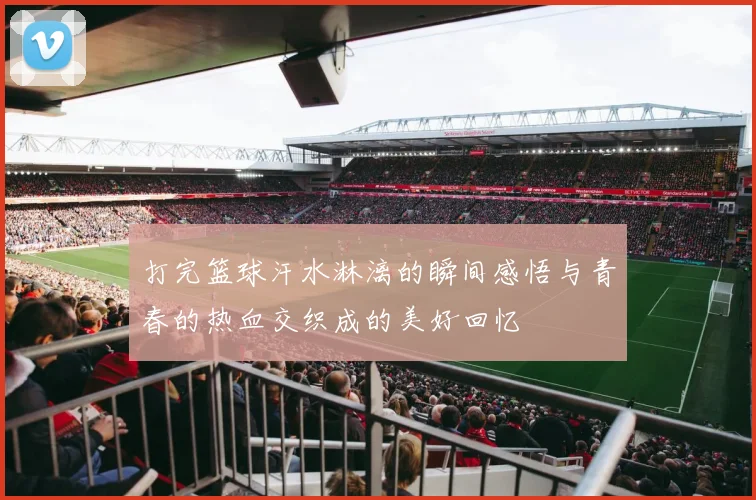 打完篮球汗水淋漓的瞬间感悟与青春的热血交织成的美好回忆