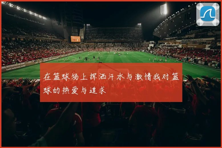 在篮球场上挥洒汗水与激情我对篮球的热爱与追求