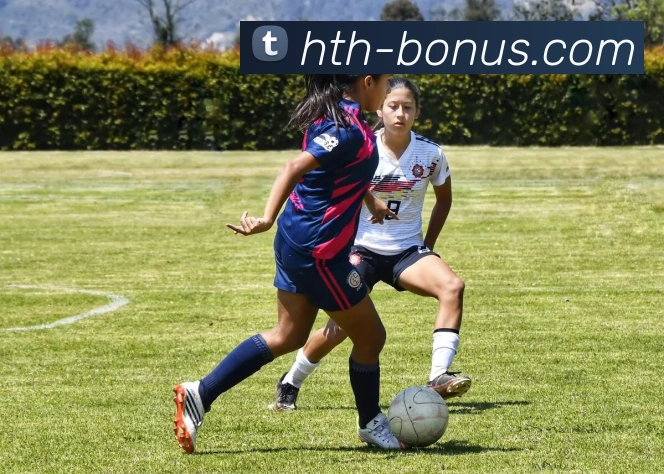 数据分析功能